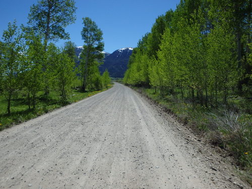 GDMBR: Aspen Grove.